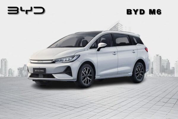 BYD M6